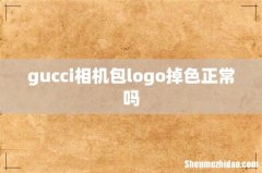 gucci相机包logo掉色正常吗