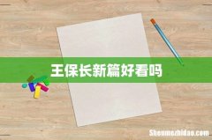 王保长新篇好看吗