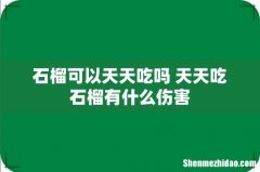 石榴可以天天吃吗 天天吃石榴有什么伤害
