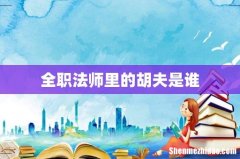 全职法师里的胡夫是谁