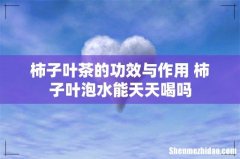柿子叶茶的功效与作用 柿子叶泡水能天天喝吗