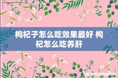 枸杞子怎么吃效果最好 枸杞怎么吃养肝
