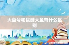 大鱼号和优酷大鱼有什么区别