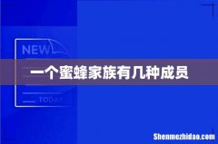 一个蜜蜂家族有几种成员