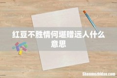 红豆不胜情何堪赠远人什么意思