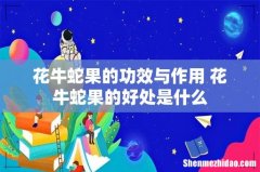 花牛蛇果的功效与作用 花牛蛇果的好处是什么