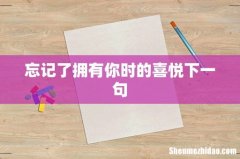 忘记了拥有你时的喜悦下一句