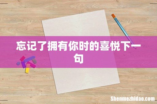 忘记了拥有你时的喜悦下一句