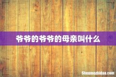 爷爷的爷爷的母亲叫什么