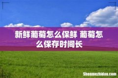 新鲜葡萄怎么保鲜 葡萄怎么保存时间长