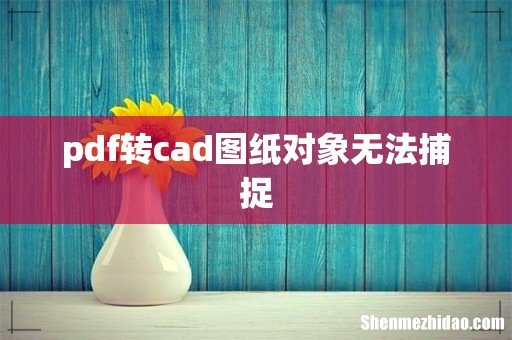 pdf转cad图纸对象无法捕捉