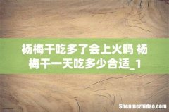 杨梅干吃多了会上火吗 杨梅干一天吃多少合适_1