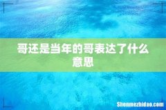 哥还是当年的哥表达了什么意思
