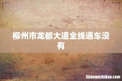 柳州市龙都大道全线通车没有