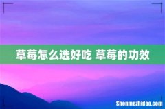 草莓怎么选好吃 草莓的功效