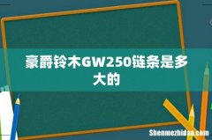 豪爵铃木GW250链条是多大的