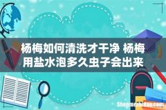 杨梅如何清洗才干净 杨梅用盐水泡多久虫子会出来