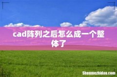 cad阵列之后怎么成一个整体了
