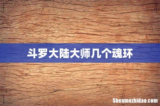 斗罗大陆大师几个魂环