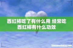西红柿吃了有什么用 经常吃西红柿有什么功效