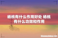 杨桃有什么作用好处 杨桃有什么功效和作用