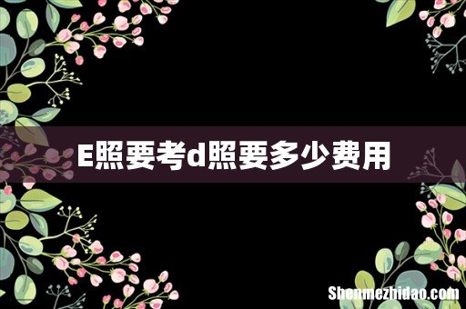 E照要考d照要多少费用