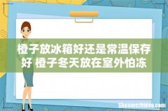 橙子放冰箱好还是常温保存好 橙子冬天放在室外怕冻吗