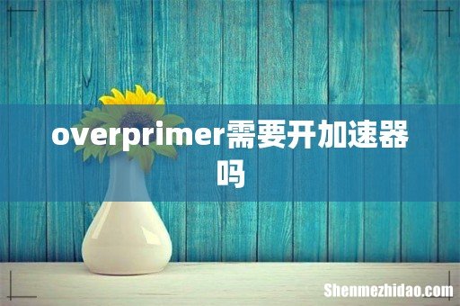 overprimer需要开加速器吗