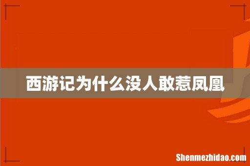 西游记为什么没人敢惹凤凰