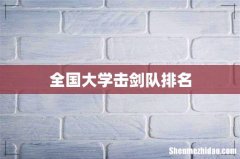 全国大学击剑队排名