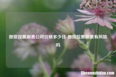 微信投票刷票公司价格多少钱 微信投票刷票有风险吗