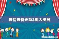 爱情自有天意2部大结局