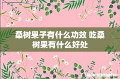 桑树果子有什么功效 吃桑树果有什么好处