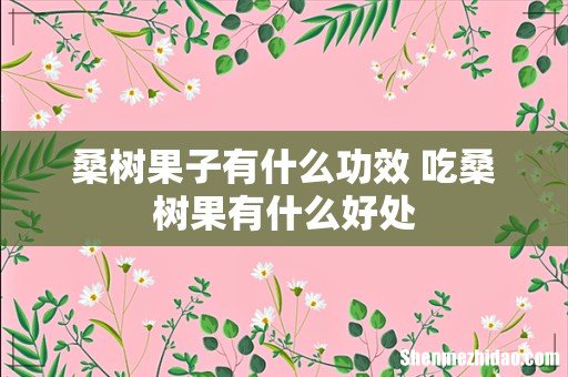 桑树果子有什么功效 吃桑树果有什么好处