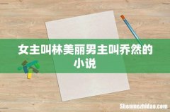 女主叫林美丽男主叫乔然的小说
