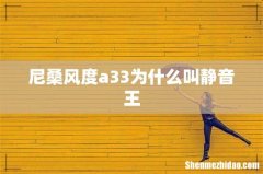 尼桑风度a33为什么叫静音王