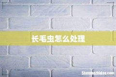 长毛虫怎么处理