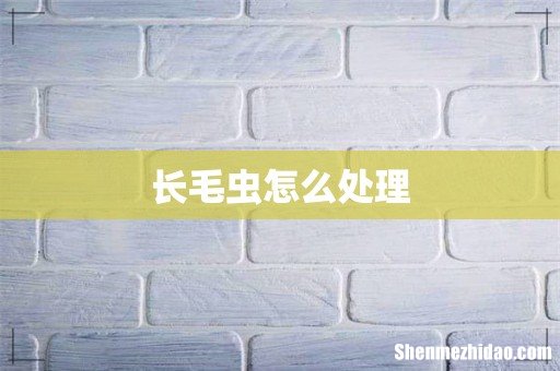 长毛虫怎么处理
