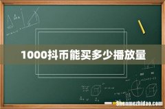 1000抖币能买多少播放量