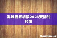 武城县老城镇2023要拆的村庄
