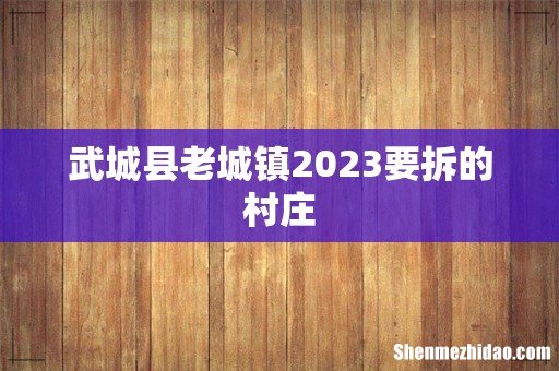 武城县老城镇2023要拆的村庄