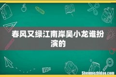 春风又绿江南岸吴小龙谁扮演的