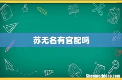 苏无名有官配吗