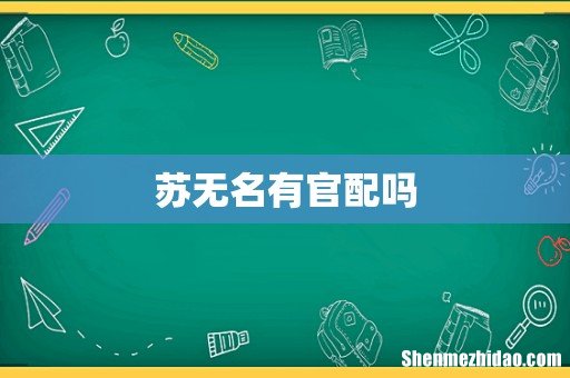 苏无名有官配吗