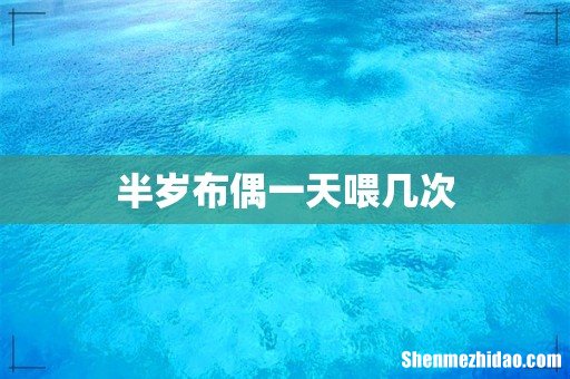 半岁布偶一天喂几次
