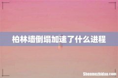 柏林墙倒塌加速了什么进程
