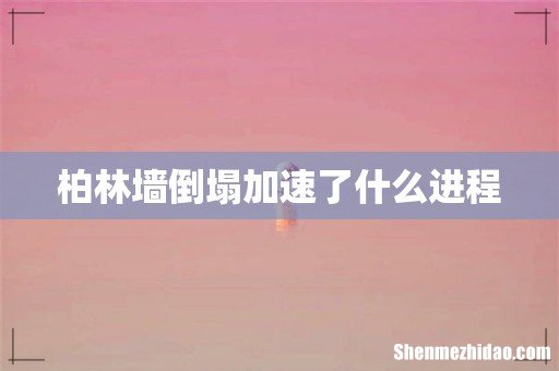 柏林墙倒塌加速了什么进程