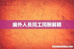 编外人员同工同酬解释
