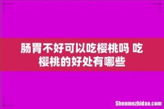 肠胃不好可以吃樱桃吗 吃樱桃的好处有哪些