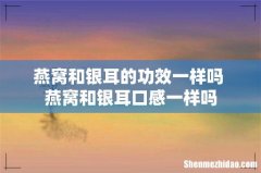 燕窝和银耳的功效一样吗 燕窝和银耳口感一样吗